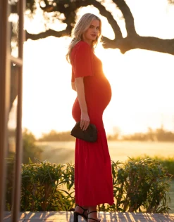 Flash Sale Seraphine Arbor | Shirred Maternity-To-Nursing Maxi Dress