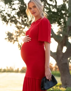 Flash Sale Seraphine Arbor | Shirred Maternity-To-Nursing Maxi Dress
