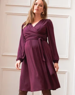 Online Seraphine Eudora | Plum Maternity & Nursing Wrap Dress