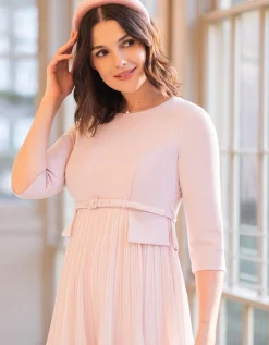 Clearance Seraphine Sophian | Blush Pink Pleated Maternity & Nursing Dress