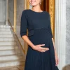 Discount Seraphine Sophian | Navy Blue Pleated Maternity & Nursing Dress